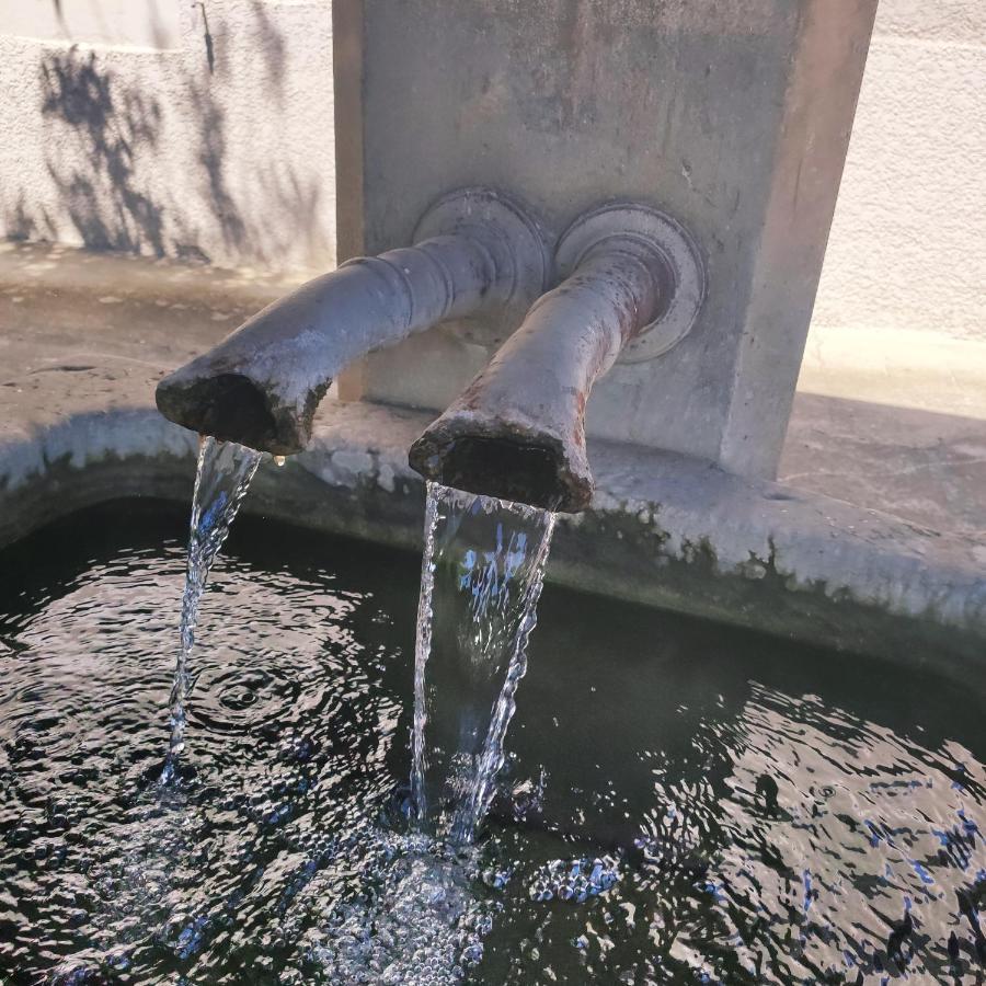 La Source D'arbere Apartment
